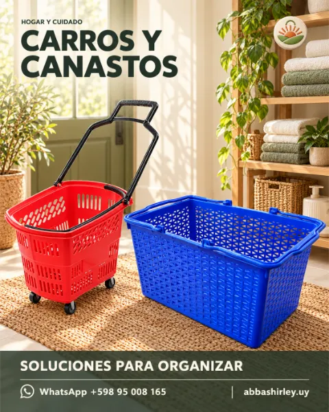 Catálogo Carros y canastos Abba Shirley