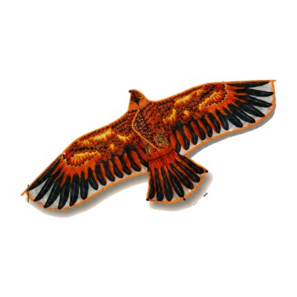 Cometa Águila con cola Abba Shirley