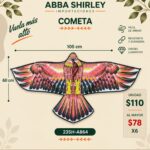 Cometa Pájaro con cola larga en uso, Abba Shirley