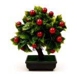 Planta decorativa bonsái con frutos rojos 25 cm Abba Shirley