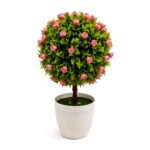 Planta decorativa con flores en maceta 27 cm Abba Shirley