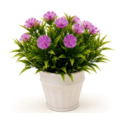 Planta decorativa con flores pequeñas 17 cm Abba Shirley