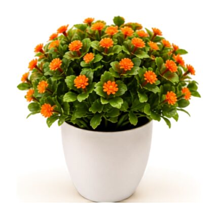 Planta decorativa con flores pequeñas 18 cm Abba Shirley