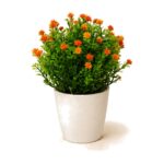Planta decorativa con flores pequeñas 22 cm Abba Shirley