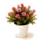 Planta decorativa con flores pompón 21 cm Abba Shirley
