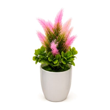 Planta decorativa de hojas en maceta 23 cm Abba Shirley