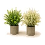 Planta decorativa tipo pasto en maceta de cemento 25 cm Abba Shirley